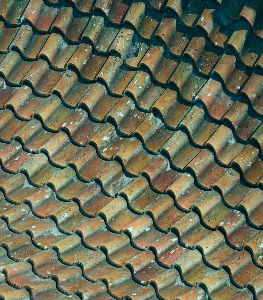 PROCEDURAL ROOF